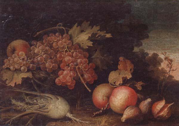  Still lifes of Grapes,figs,apples,pears,pomegranates,black currants and fennel,within a landscape setting